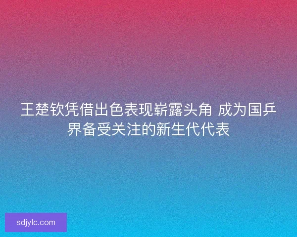 王楚钦凭借出色表现崭露头角 成为国乒界备受关注的新生代代表