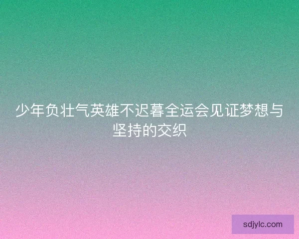 少年负壮气英雄不迟暮全运会见证梦想与坚持的交织