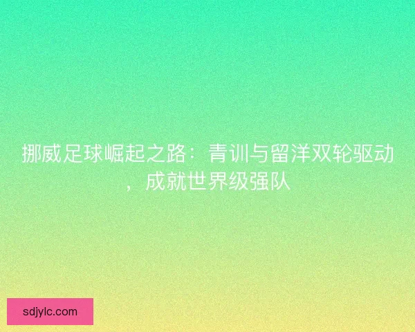 挪威足球崛起之路：青训与留洋双轮驱动，成就世界级强队