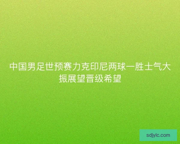 中国男足世预赛力克印尼两球一胜士气大振展望晋级希望